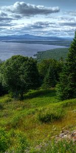 Naturaleza,Árboles,Cielo,Lago,Ee Uu,Estados Unidos