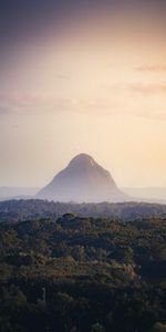 Nature,Trees,Sky,Mountain,Forest,Fog