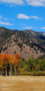 Nature,Trees,Sky,Mountains,Clouds