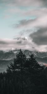 Nature,Trees,Sky,Mountains,Clouds,Fog