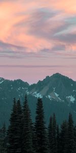 Nature,Trees,Sky,Mountains,Clouds,Vertex,Tops