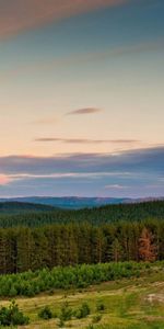 Faubourgs,Périphérie,Facilité,Bord,Arbres,Forêt,Sky,Montagnes,Nature