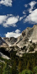 Nature,Trees,Sky,Mountains,Rocks,Vertex,Spruce,Fir,Tops