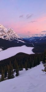 Nature,Trees,Sky,Mountains,Snow,Mountain Landscape