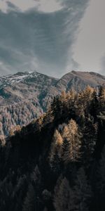 Naturaleza,Árboles,Cielo,Montañas,Nubes,Arriba,Tops