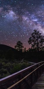 Voie Lactée,Nature,Arbres,Sky,Silhouettes,Nuit,Etoiles