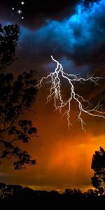 Nature,Trees,Sky,Outlines,Stars,Bad Weather,Night,Lightning,Birds