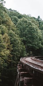 Árboles,Ferrocarril,Naturaleza,Cielo