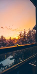 Nature,Trees,Sky,Review,View,Sunset,Window,Overview