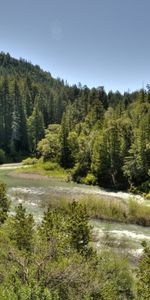 Nature,Trees,Sky,Rivers,Flow