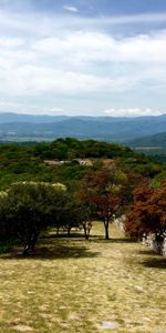 Nature,Trees,Sky,Settlement,Xochicalco,Shochikalko,Garden