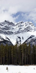 Nature,Trees,Sky,Snow,Mountain,Vertex,Top