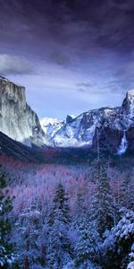 Árboles,Cielo,Montañas,Nieve,Naturaleza