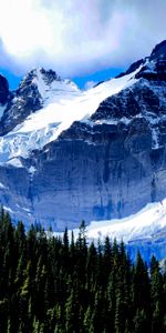 Nature,Trees,Sky,Snow,Spruce,Fir,Snow Covered,Snowbound,Mountains