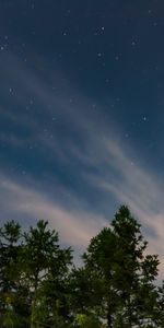 Nature,Arbres,Sky,Ciel Étoilé