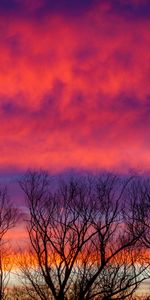 Sky,Nuages,Nature,Arbres,Crépuscule,Sombre