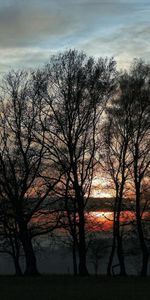 Arbres,Soir,Nature,Sky,Crépuscule,Coucher De Soleil