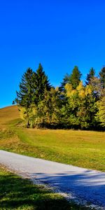 Nature,Trees,Slope,Shadows,I See,Straight,Straight Line,Road,Line,Clear