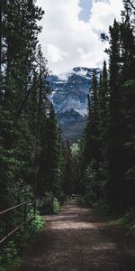 Nature,Trees,Snow,Forest,Mountains,Clouds,Road