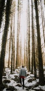 Nature,Trees,Snow,Forest,Person,Human,Loneliness