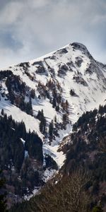 Naturaleza,Árboles,Nieve,Montaña,Arriba,Vértice