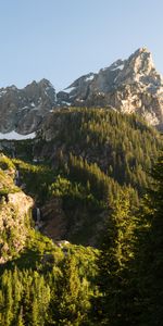 Nature,Trees,Snow,Mountains,Forest