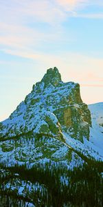 Nature,Trees,Snow,Rocks,Mountain,Top,Snow Covered,Snowbound,Vertex