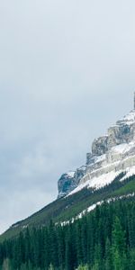 Nature,Trees,Snow,Vertex,Top,Mountains