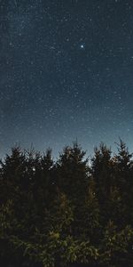 Nature,Trees,Starry Sky,Ate,Sky,Night