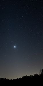 Naturaleza,Árboles,Noche,Estrella,Cielo Estrellado