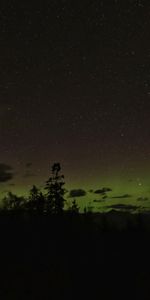 Naturaleza,Árboles,Estrellas,Noche,Silueta,Bosque