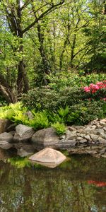 El Parque,Paisaje,Árboles,Stones,Naturaleza,Parque,Estanque