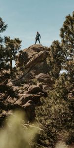 Nature,Trees,Stones,Rock,Height,Human,Person