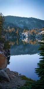 Noyaux,Arbres,Pente,Nature,Rocheux,Rocher,Lac