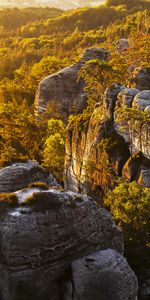 Nature,Trees,Stones,Sky,Bush,Rocks