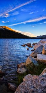 Nature,Trees,Stones,Sky,Lake,Spruce,Fir