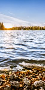 Nature,Trees,Stones,Sun,Horizon,Lake