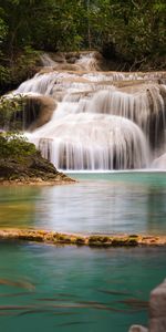 Nature,Trees,Stones,Waterfall,Branches,Water