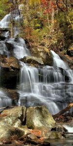 Nature,Trees,Stones,Waterfall,Cascades,Leaves,Forest