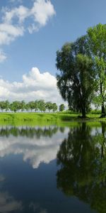 Naturaleza,Árboles,Verano,Lago