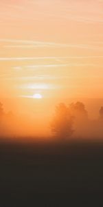 Brouillard,Sun,Matin,Arbres,Nature,Aube