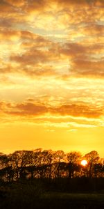 Arbres,Nuages,Nature,Crépuscule,Coucher De Soleil,Paysage