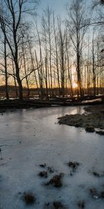 Arbres,Coucher De Soleil,Glace,Nature,Ruisseau