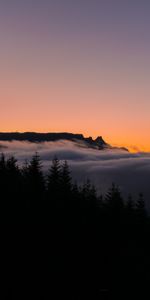 Naturaleza,Horizonte,Niebla,Árboles,Puesta Del Sol,Bosque