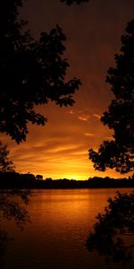 Nature,Trees,Sunset,Horizon,Lake,Evening