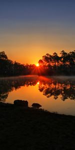 Poutres,Rayons,Arbres,Lac,Nature,Coucher De Soleil,Floride