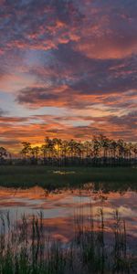 Nature,Trees,Sunset,Lake,Reflection