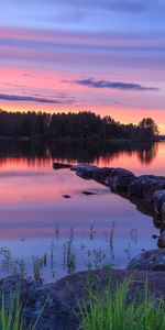 Nature,Trees,Sunset,Lake,Reflection,Stones