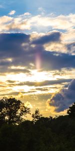 Nature,Trees,Sunset,Sky,Clouds