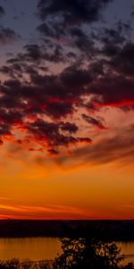 Nature,Trees,Sunset,Sky,Clouds,Lake,Evening